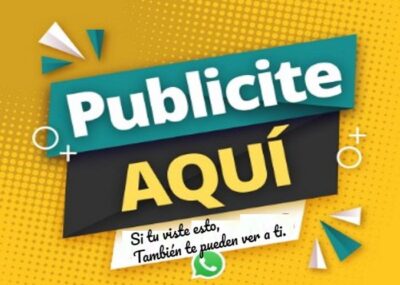 Servicio-de-Publicación